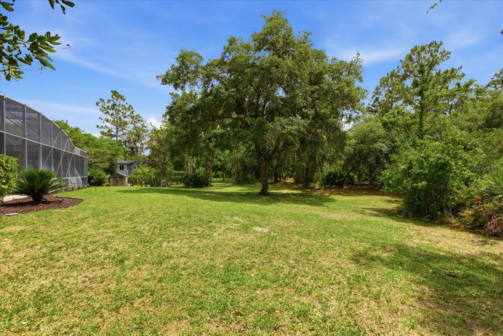 LIVE OAK ESTATES - Residential