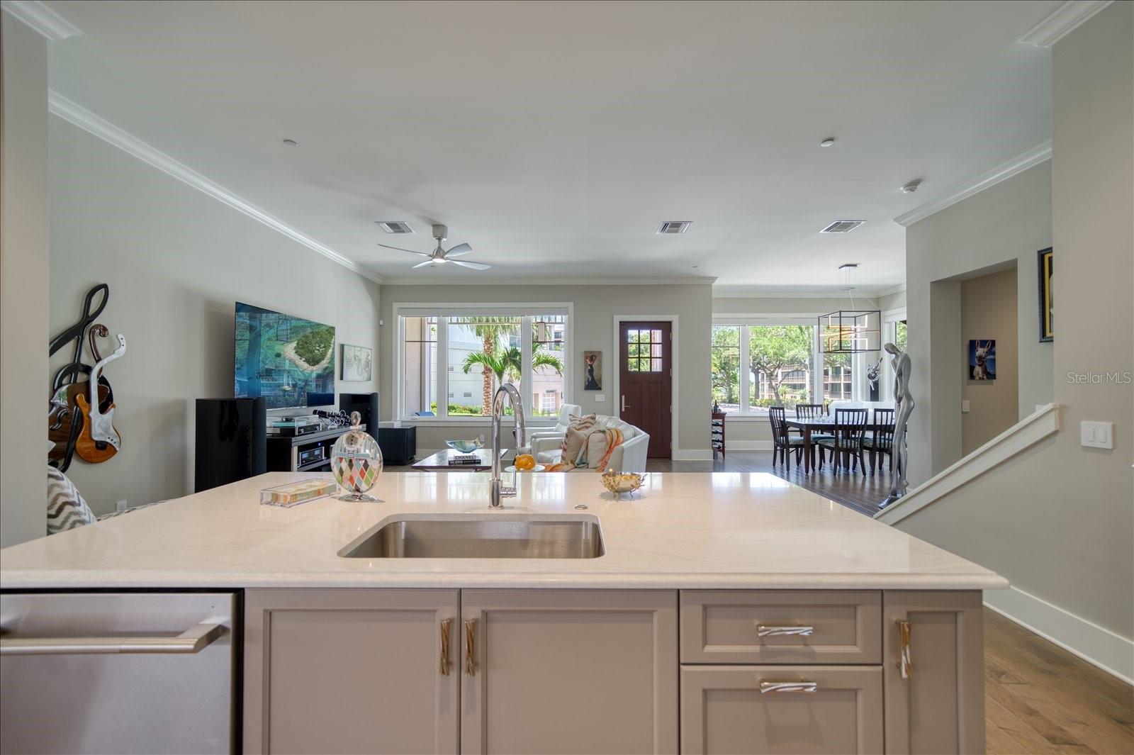 CARRIAGE HOMES AT BELLEVIEW PLACE CONDO - Residential