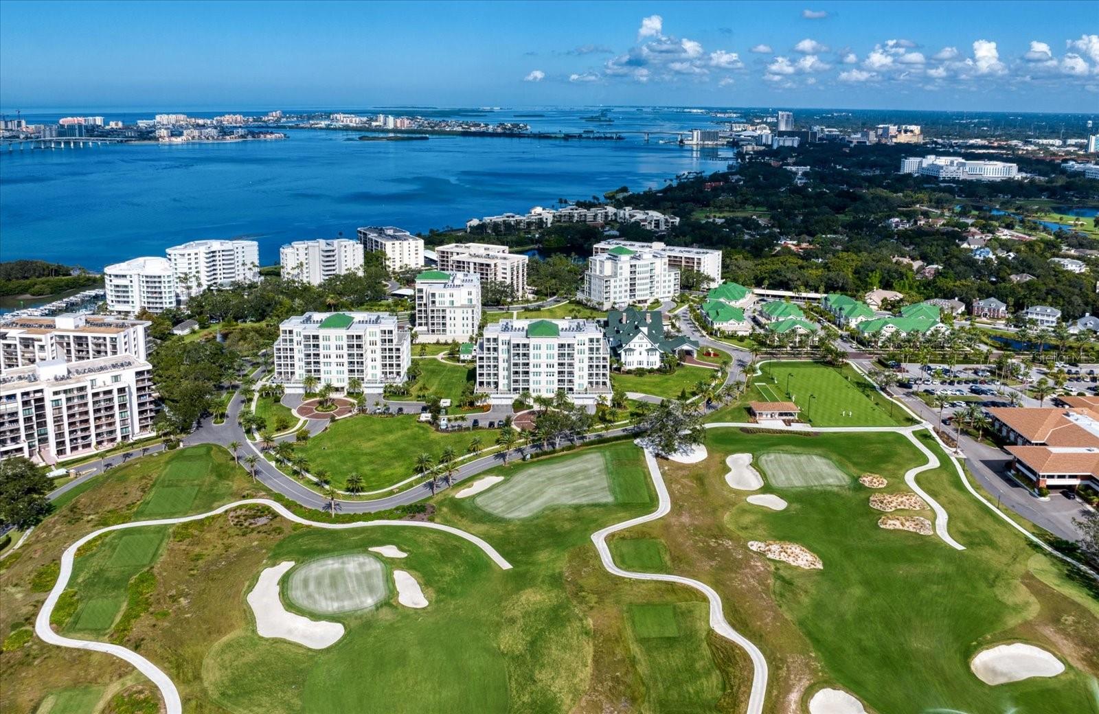 CARRIAGE HOMES AT BELLEVIEW PLACE CONDO - Residential