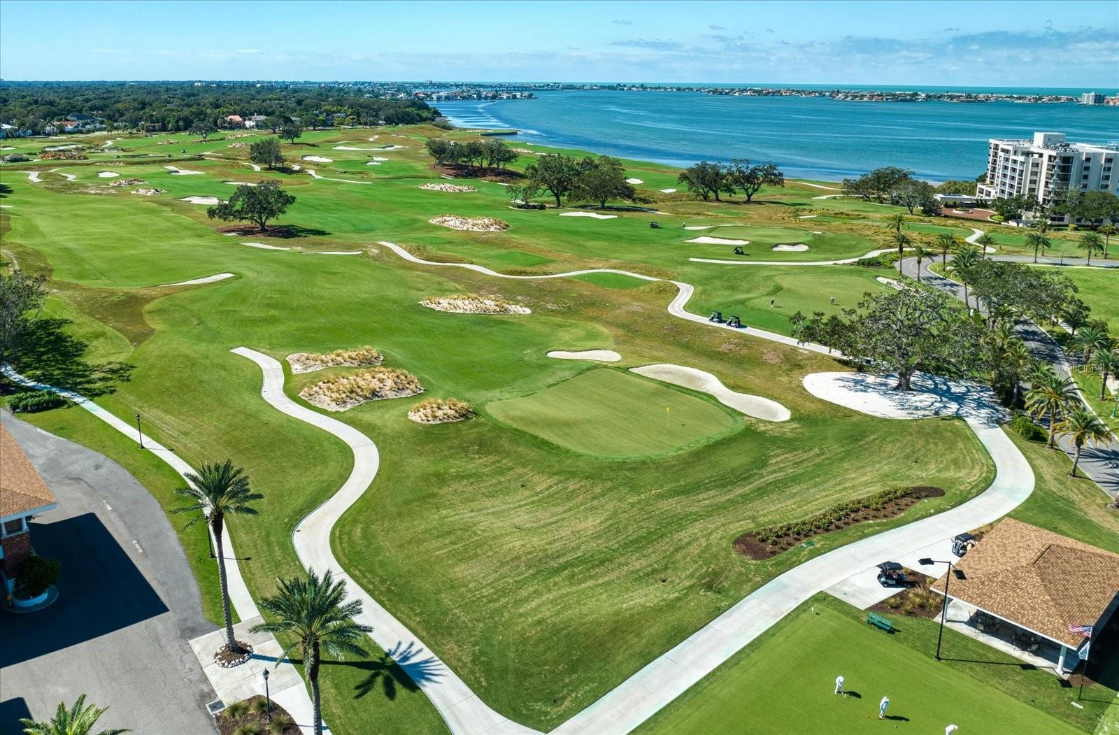 CARRIAGE HOMES AT BELLEVIEW PLACE CONDO - Residential