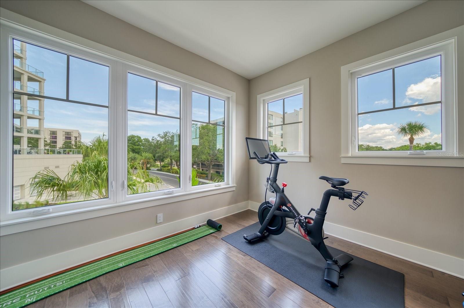 CARRIAGE HOMES AT BELLEVIEW PLACE CONDO - Residential