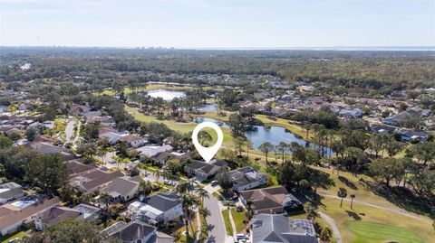 A home in TAMPA