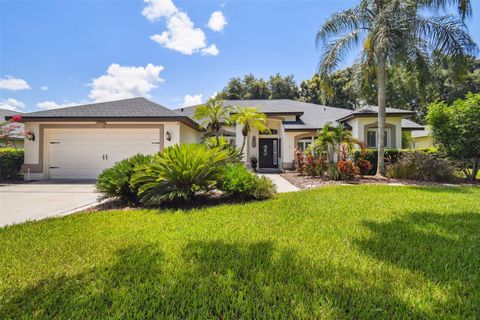 A home in VALRICO