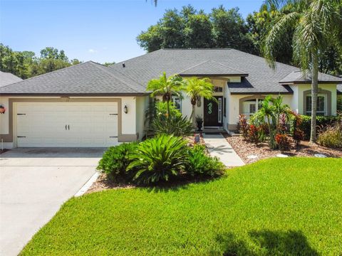 A home in VALRICO