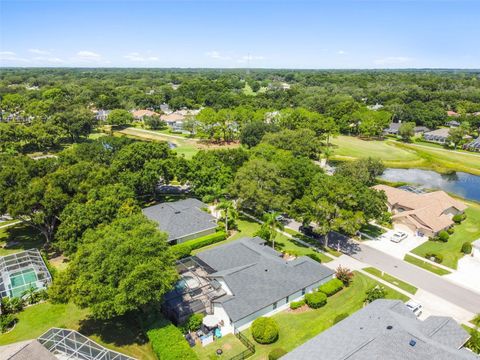 A home in VALRICO