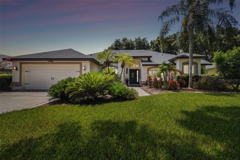 A home in VALRICO