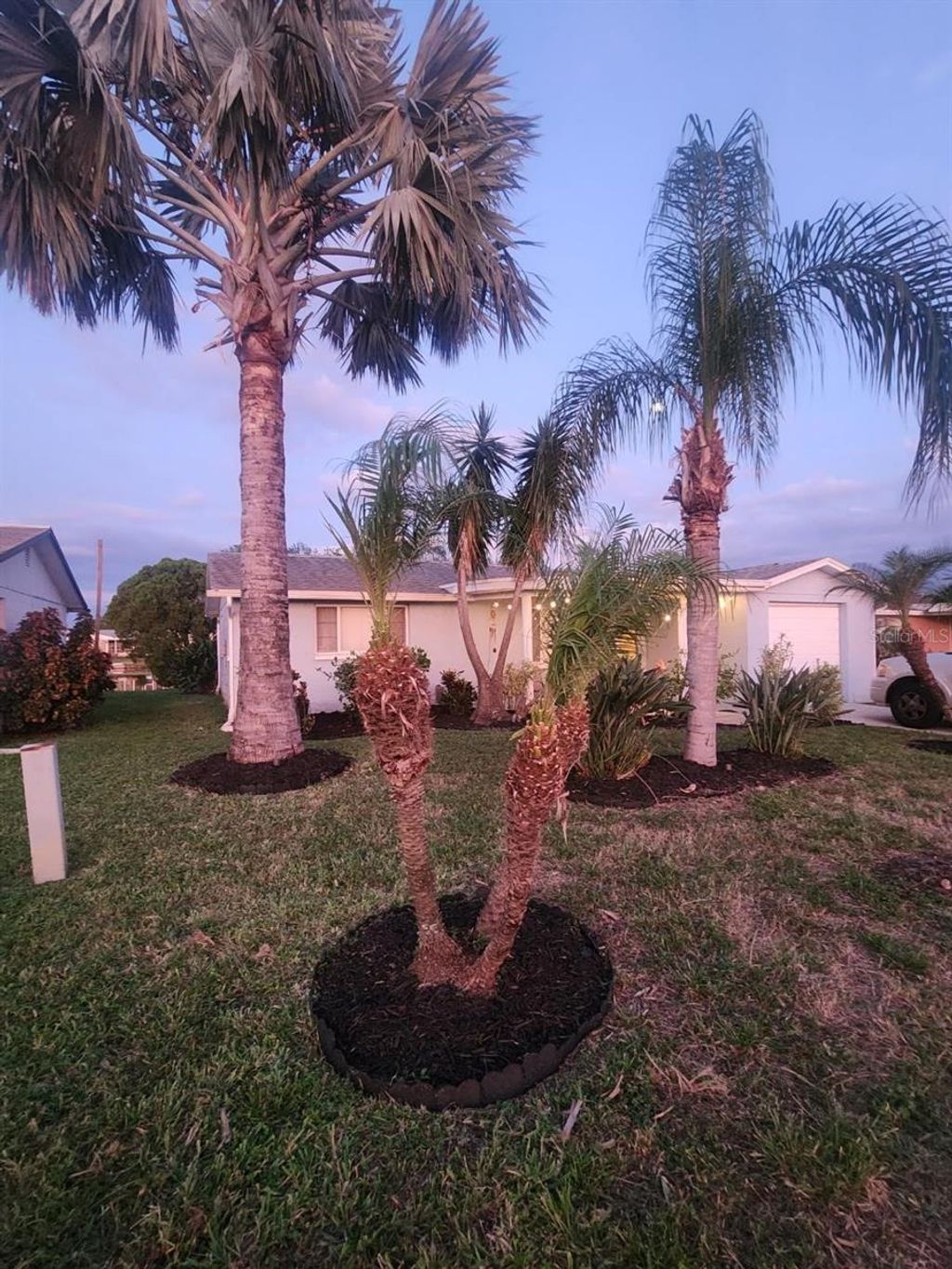 Photo of 2228 Society Drive, Holiday, FL 34691 (MLS # TB8423721)