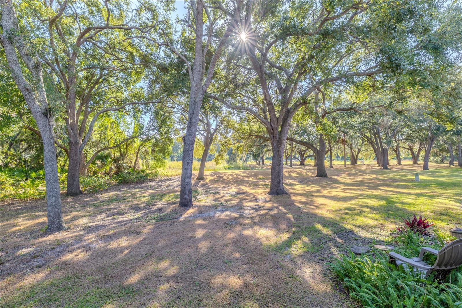 REGENCY KEY TWNHMS - Residential