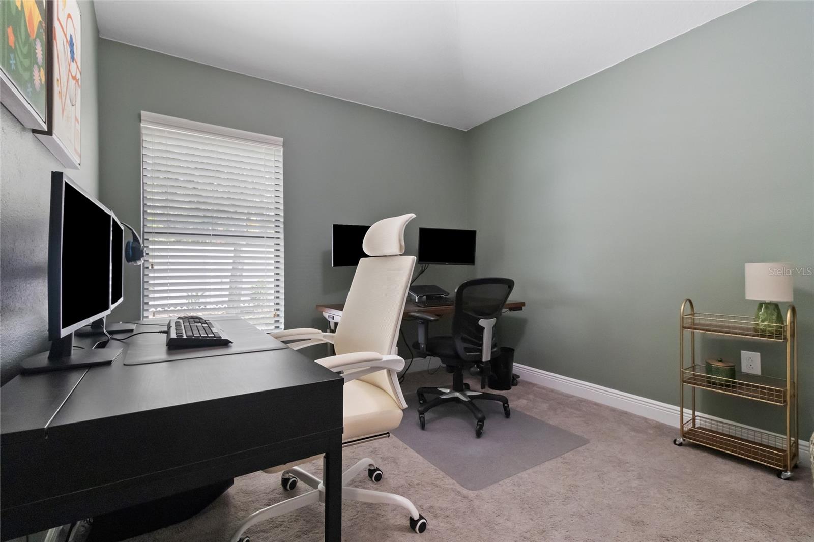 BULLFROG CREEK PRESERVE - Residential