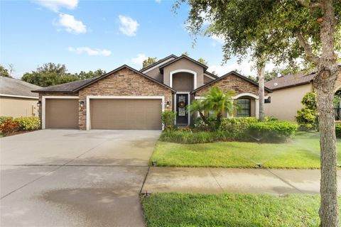 12729 FLATWOOD CREEK DRIVE GIBSONTON FL 33534
