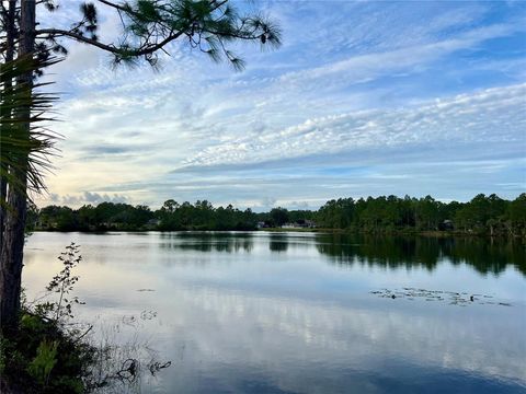 A home in PALM COAST