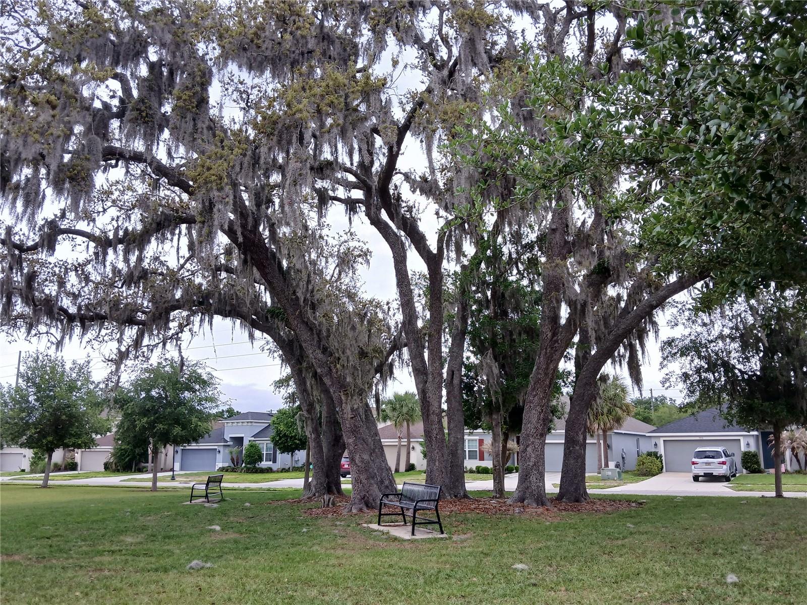 BOYETTE ROAD SUB - Residential