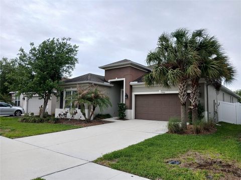 Photo of 29900 Walsh Oak Drive, Wesley Chapel, FL 33545 (MLS # TB8494008)