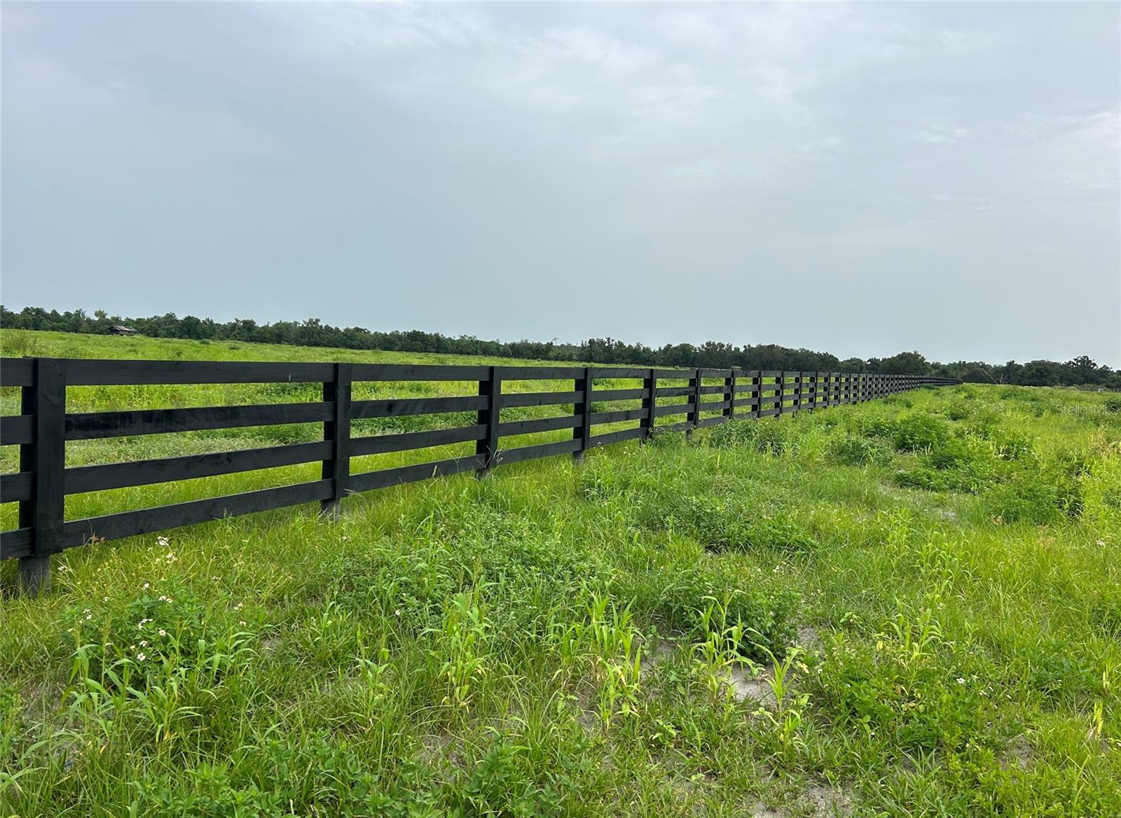 Photo 3 of 3 of 4732 SE CO RD 760 land