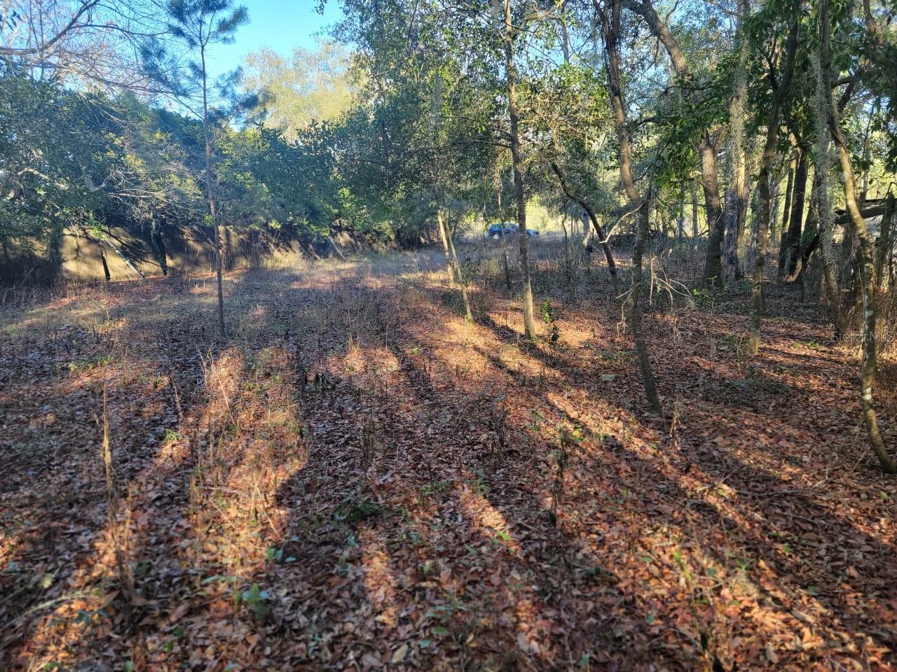 INTERLACHEN LAKES ESTATES - Land