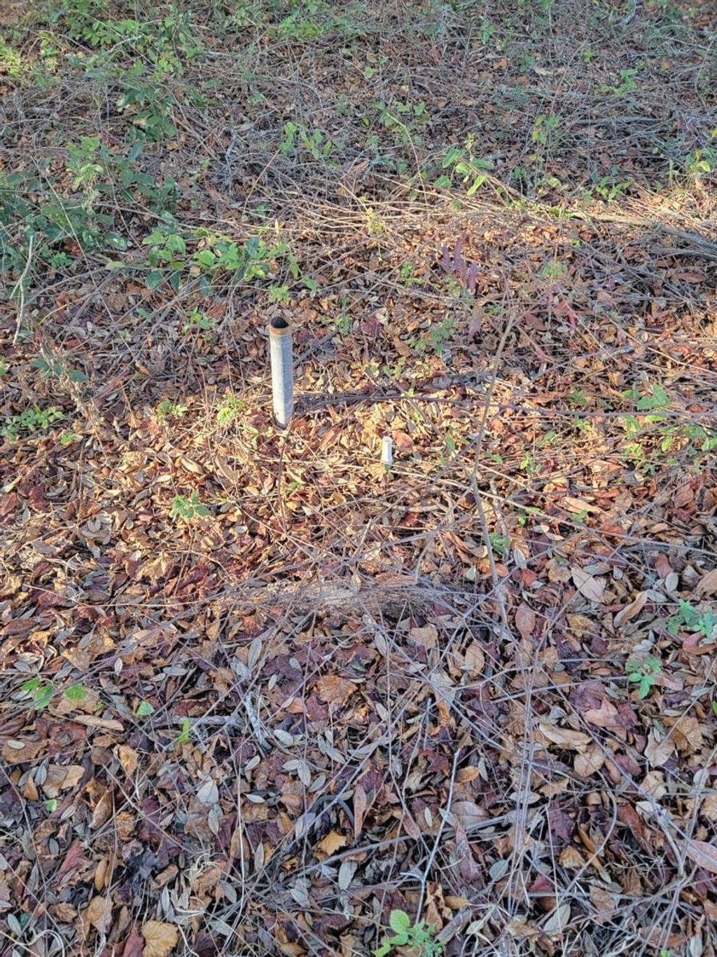 Photo of 107 Lakeview Way, Interlachen, FL 32148 (MLS # O6375183)