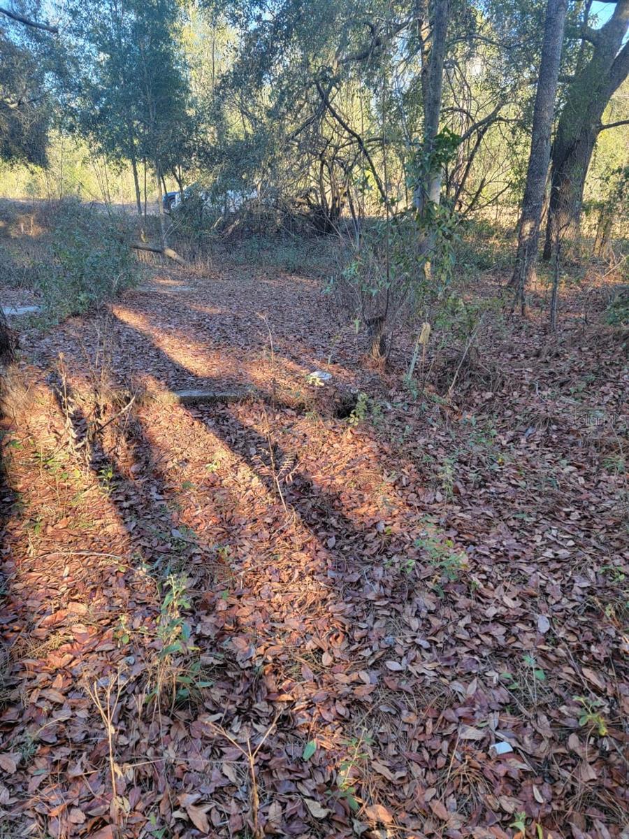 INTERLACHEN LAKES ESTATES - Land