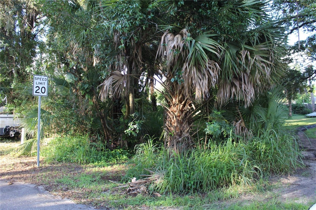Photo of 7023 Jasmine Avenue, Cocoa, FL 32927 (MLS # G5117601)