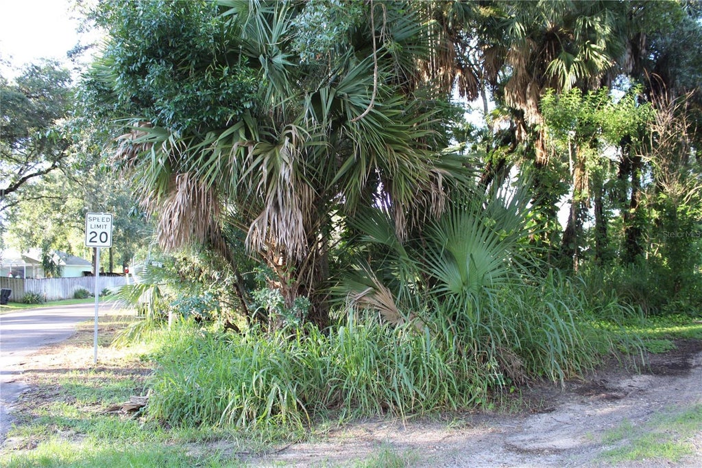 Photo of 7023 Jasmine Avenue, Cocoa, FL 32927 (MLS # G5117601)