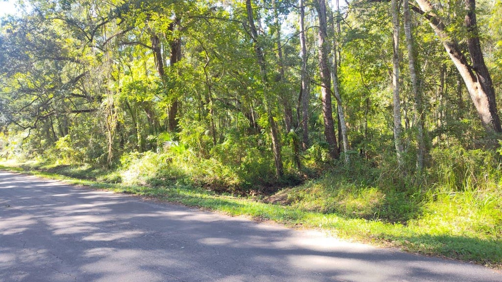 Photo of 19289 Center Street, Brooksville, FL 34601 (MLS # A4709212)