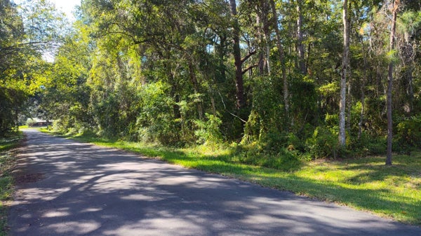 19289 CENTER ST, BROOKSVILLE, FL 34601 - Image e559673ea59bb6f94d09c4f47a343a55/2041369476