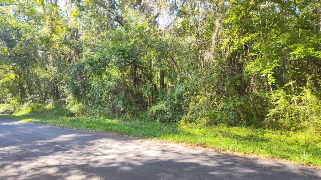 Photo of 19289 Center Street, Brooksville, FL 34601 (MLS # A4709212)