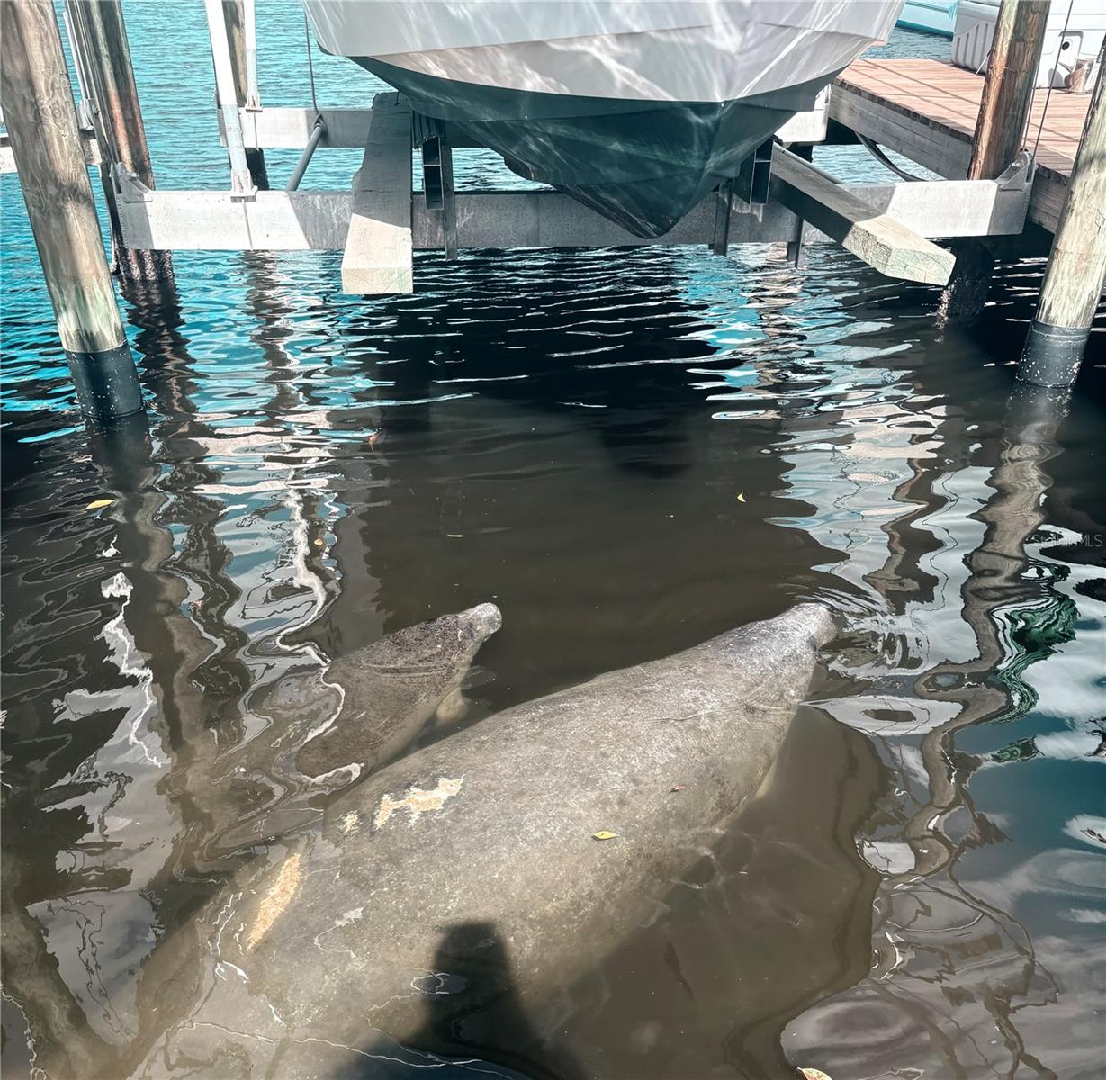 PALMA SOLA HARBOUR SEC 1 - Residential