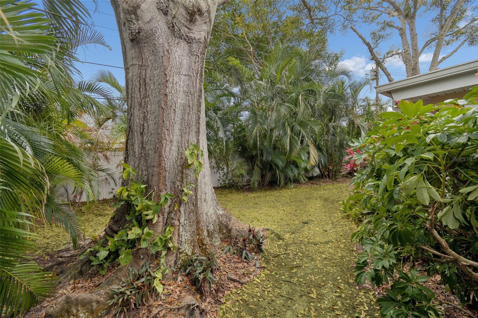 BELLEAIR MANOR UNIT 1 & 2 - Residential