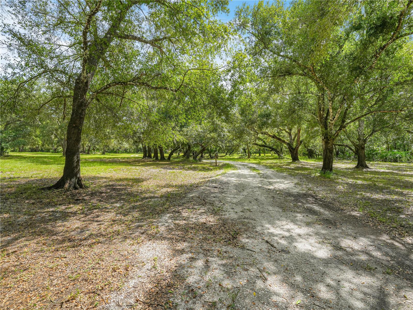 PEACE RIVER - Residential