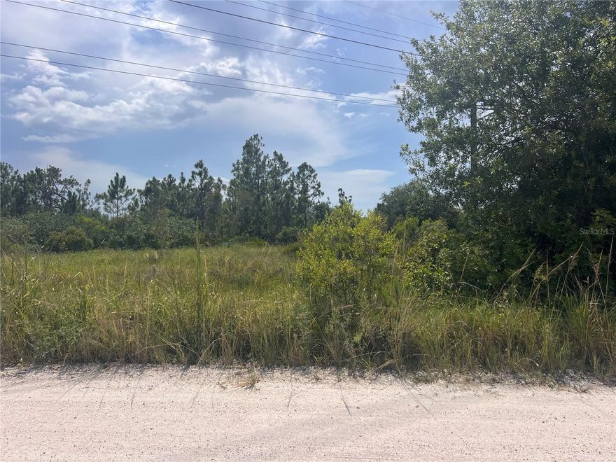 Build Your Dream Home on 1.25 Acres – No HOA, No Flood Zone!
Discover the perfect canvas for your future home with this spacious 1.25-acre lot, located outside of a flood zone for added peace of mind. Enjoy total freedom with no HOA or CDD fees, and the flexibility to create a truly private retreat. Whether you dream of a sprawling ranch, a custom home with a pool, or space for your animals to roam freely—this property can accommodate it all.
With electricity nearby and plenty of room to add a garage, workshop, or store your RVs, boats, and toys, this lot offers both convenience and potential. Surrounded by natural beauty and privacy, it's your chance to own a slice of Florida where you set the rules.
Don't miss this rare opportunity—bring your vision and make it yours!