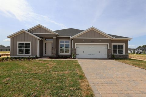 Photo of 3177 Wolf Lake Avenue, Apopka, FL 32712 (MLS # O6385002)