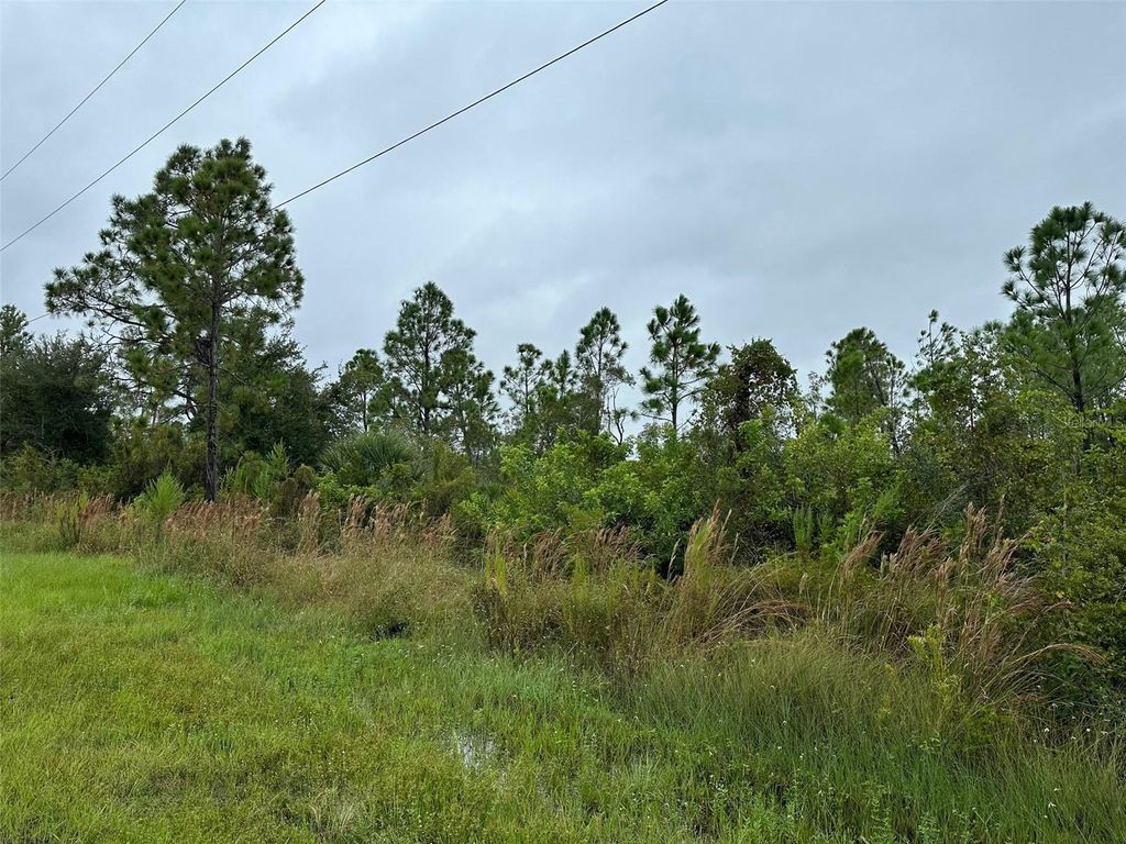 Photo of 8215 Dittmar Street, Port Charlotte, FL 33981 (MLS # TB8345918)