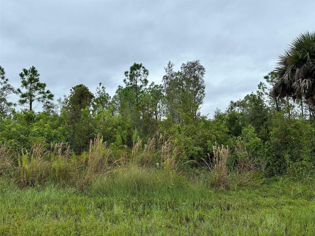 Photo of 8215 Dittmar Street, Port Charlotte, FL 33981 (MLS # TB8345918)