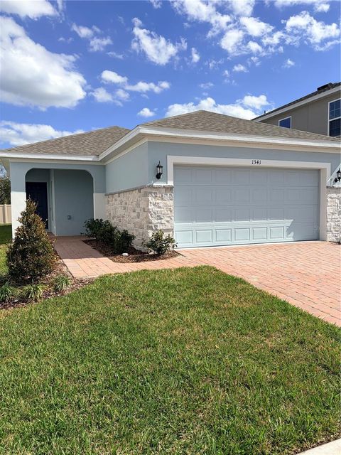 1341 SAWGRASS HAMMOCK LANE DAVENPORT FL 33837