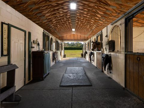 Tiny photo for 13010 NW 90th Avenue, Reddick, FL 32686 (MLS # OM712677)