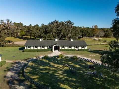 Tiny photo for 13010 NW 90th Avenue, Reddick, FL 32686 (MLS # OM712677)