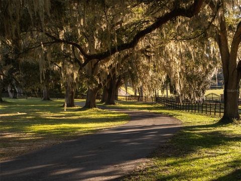 Tiny photo for 13010 NW 90th Avenue, Reddick, FL 32686 (MLS # OM712677)