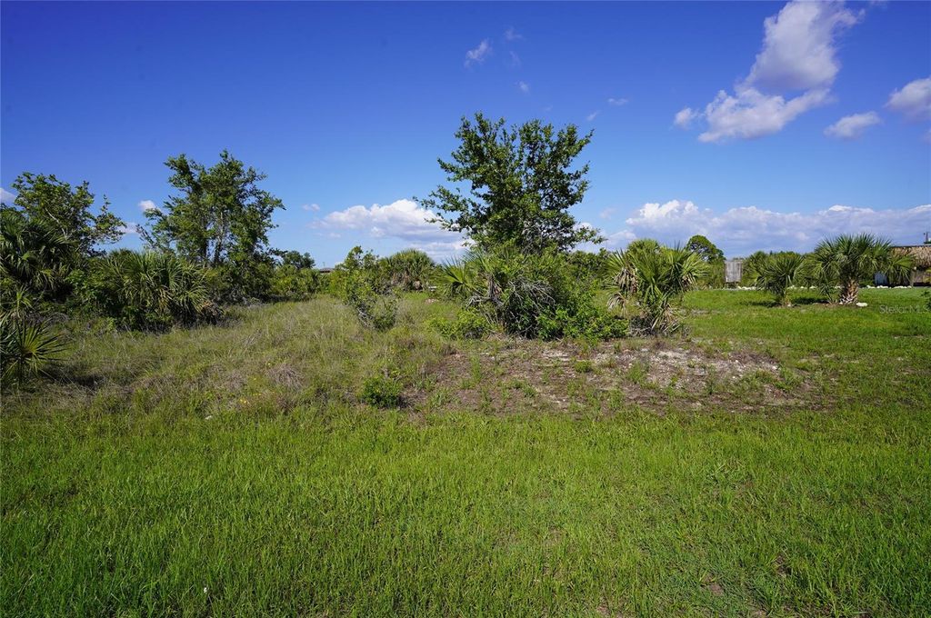 Photo of 10096 Long Beach Street, Port Charlotte, FL 33981 (MLS # C7511290)