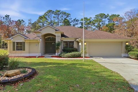 26 PLUMBAGO COURT HOMOSASSA FL 34446