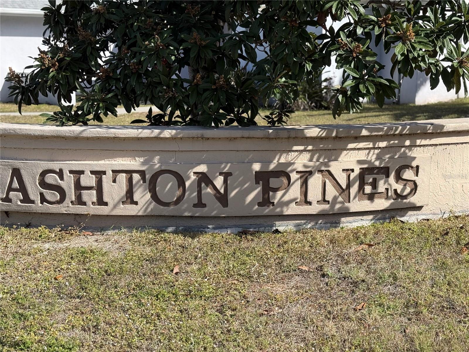 ASHTON PINES - Residential