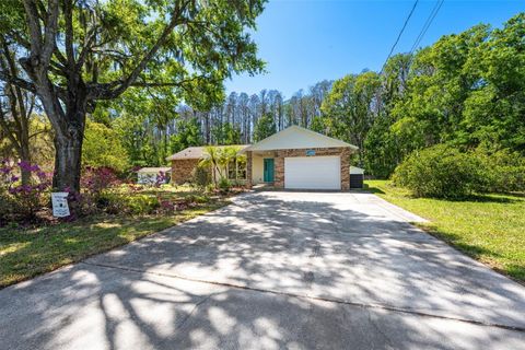 21823 SHAMU DRIVE LAND O LAKES FL 34639