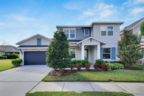 A home in APOLLO BEACH