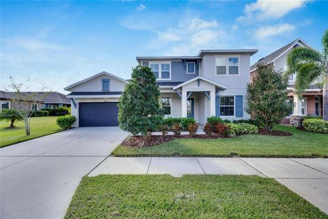 A home in APOLLO BEACH