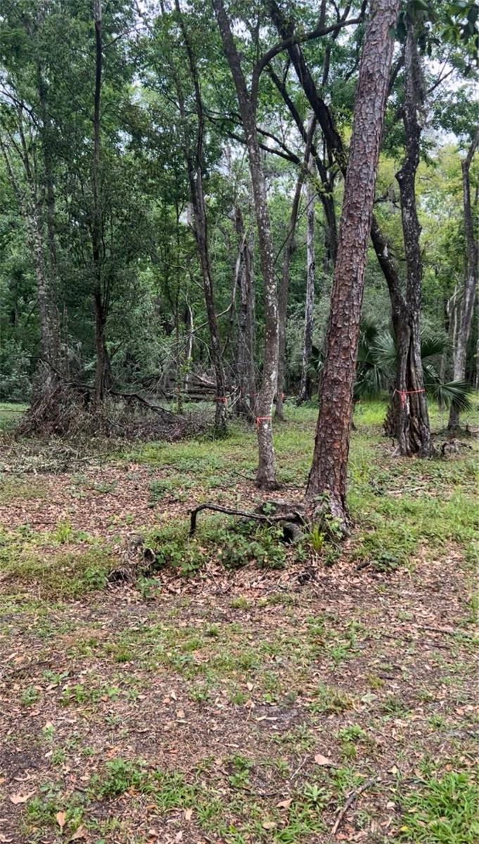 NOT IN SUBDIVISION - Land