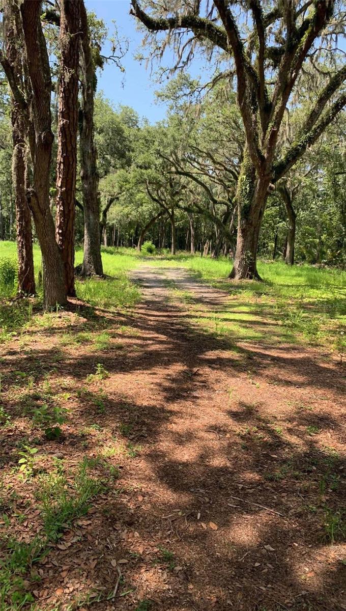 NOT IN SUBDIVISION - Land