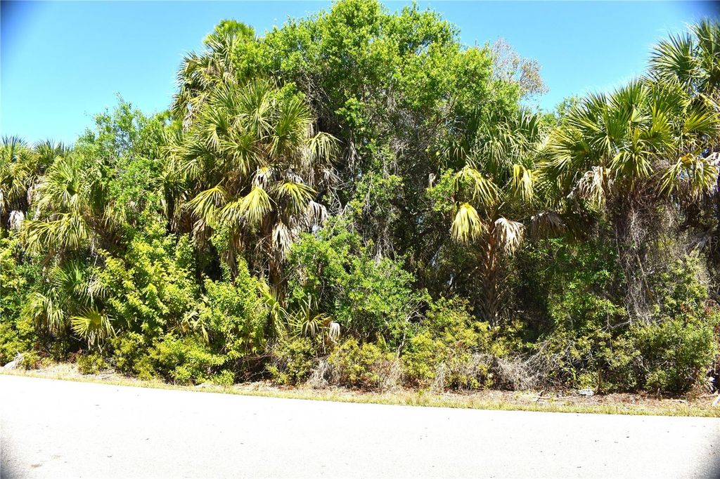 Photo of 13358 Drummond Avenue, Port Charlotte, FL 33953 (MLS # C7523158)