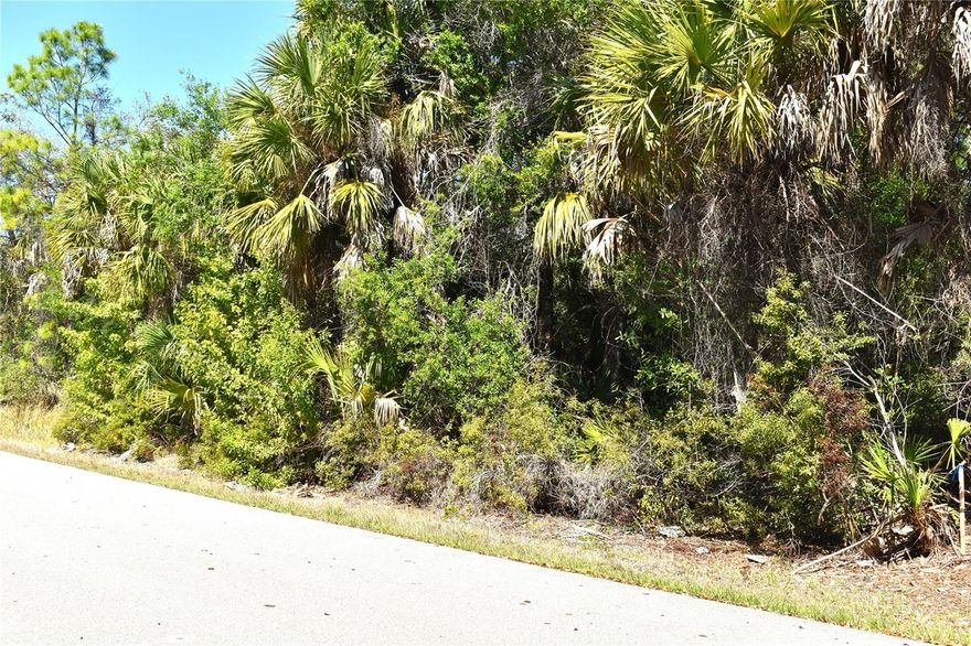 Build your Florida dream on this 0.23-acre  lot located in  Port Charlotte close to North Port , tucked away in a quiet, established neighborhood just off Chancellor blvd. No HOA fees! This is the perfect opportunity to create your own tropical retreat and enjoy the Florida lifestyle year-round—far from cold northern winters. Centrally located between Fort Myers and Sarasota, this area offers excellent value while remaining close to everything you need. Convenient access to Tamiami Trail (US 41) makes commuting and traveling a breeze. Just a short drive to shopping, dining, and entertainment, including Port Charlotte Town Center, local boutiques, and popular national retailers such as HomeGoods, Burlington, Marshalls, and Bealls. Nearby attractions include Sunseeker Resort, Fishermen’s Village, Wellen Park, Venice and Punta Gorda Airport is not far away either. Enjoy easy access to stunning Gulf Coast beaches like Boca Grande, Englewood, and Stump Pass Beach State Park. What are you waiting for? Make your Florida dream a reality this year! ?????