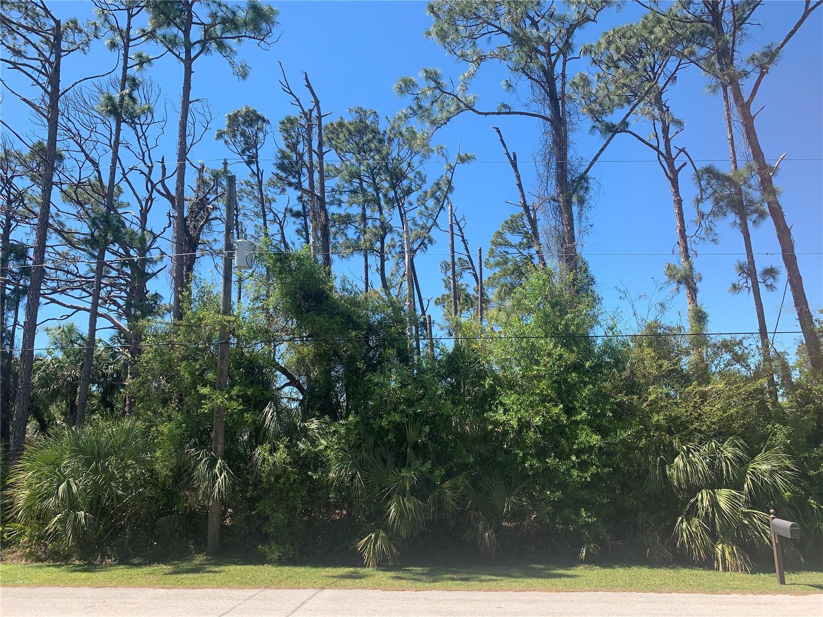 Build your next home or invest in the beautiful lot located in the heart of North Port!