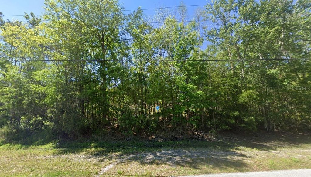 Photo of 27272 Iron Gate Lane, Wesley Chapel, FL 33544 (MLS # A4682211)