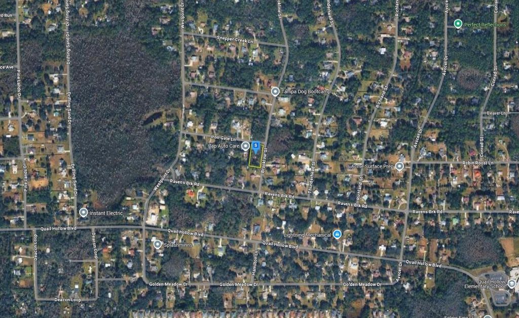 Photo of 27272 Iron Gate Lane, Wesley Chapel, FL 33544 (MLS # A4682211)